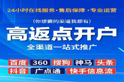 百度竞价与搜索引擎优化（SEO）的协同效应案例